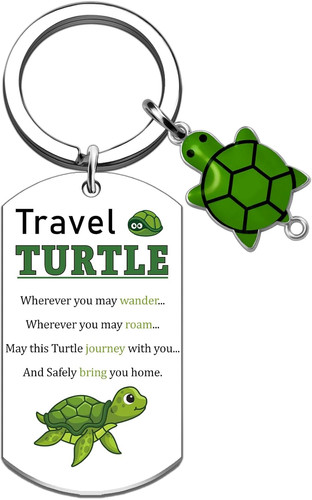 Funny travel turtle - travel,